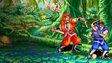 ACA NEOGEO WORLD HEROES PERFECT